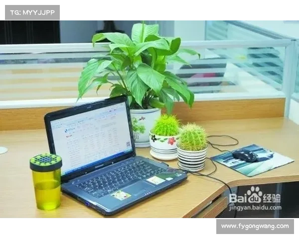 电脑辐射防护指南